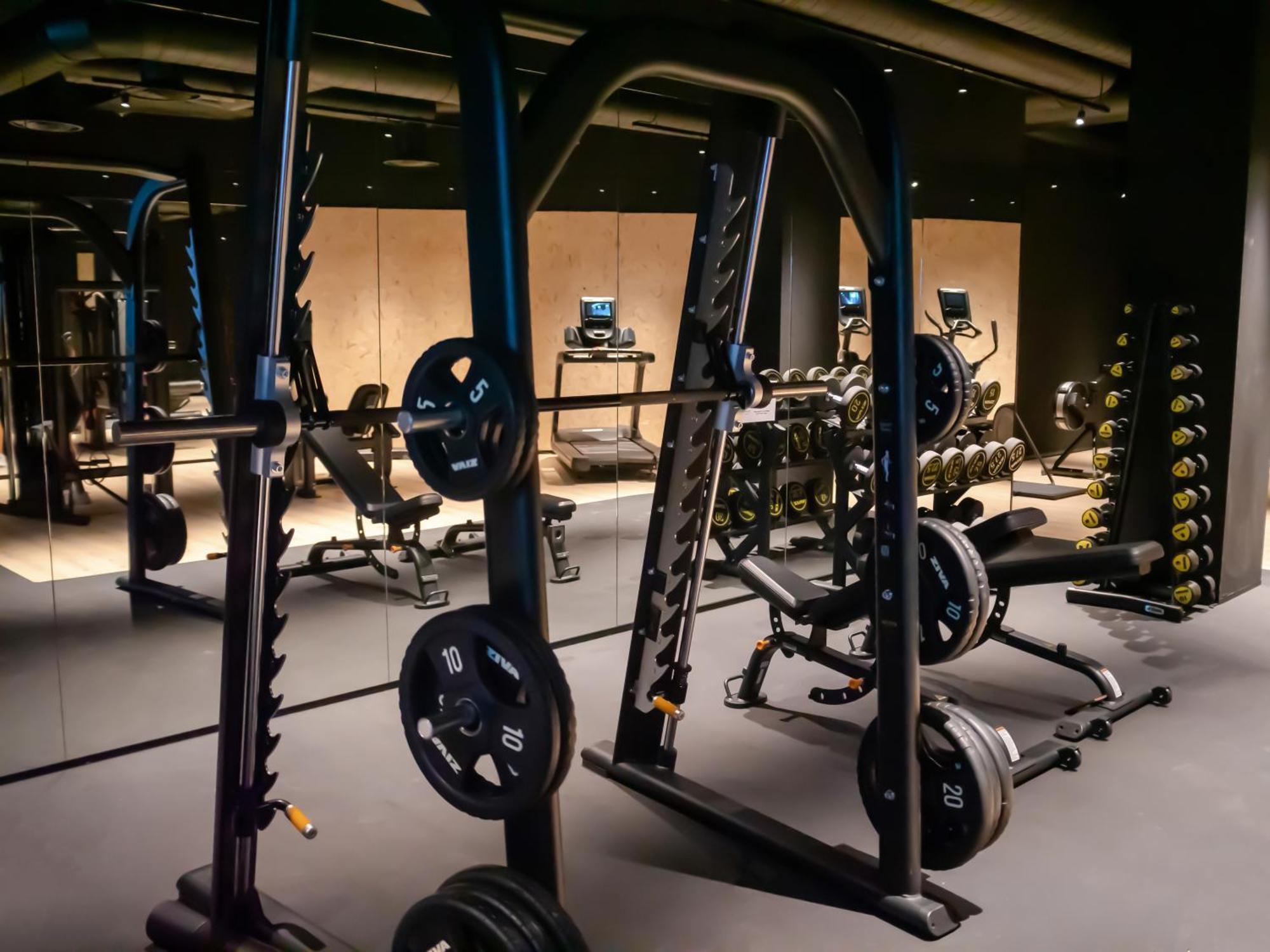 Hotel Princesa Parc Excellence อรินซัล ภายนอก รูปภาพ The gym at The Standard London